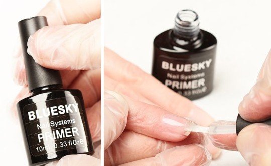 Праймер Bluesky